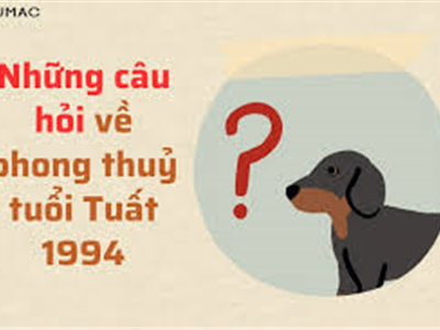 Màu Sắc May Mắn Cho Người Tuổi Giáp Tuất 1994 Để Tăng Vận Khí Năm 2025 - Nhà Đất Văn Minh